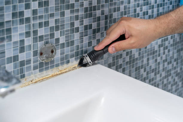 Best Emergency Mold Remediation in Siena College, NY